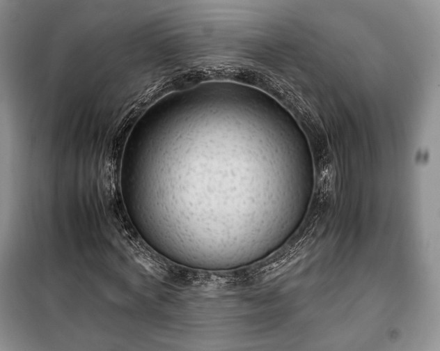 X0000100350772200806130951