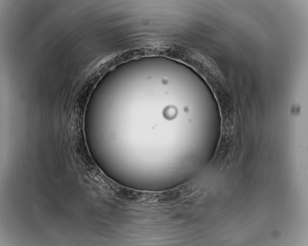 X0000100350773200806130951