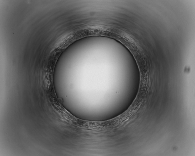 X0000100350774200806130951