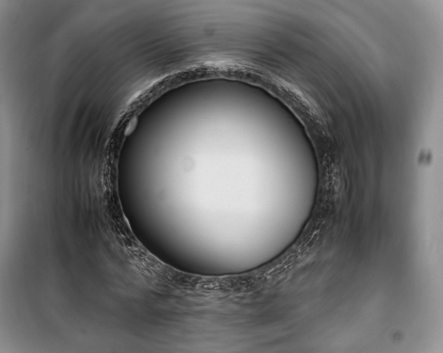 X0000100350776200806130951