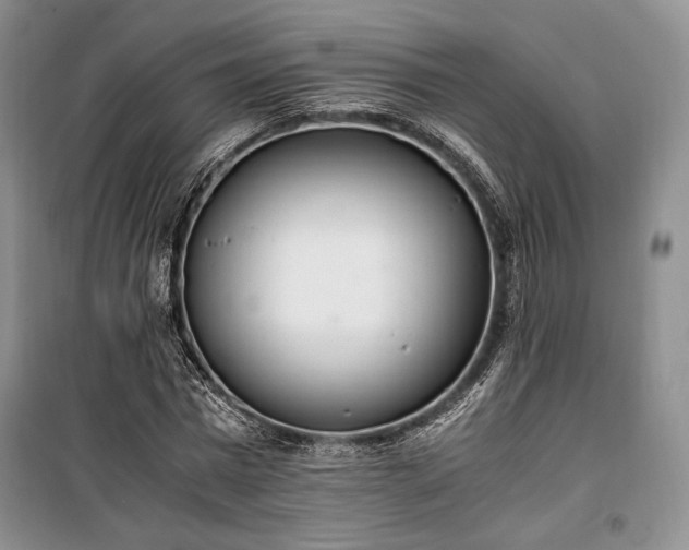 X0000100350777200806130951