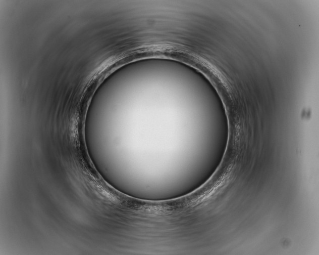 X0000100350778200806130951