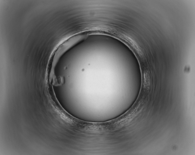 X0000100350780200806130951
