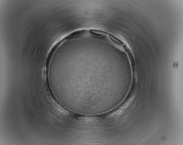 X0000100350781200806130951