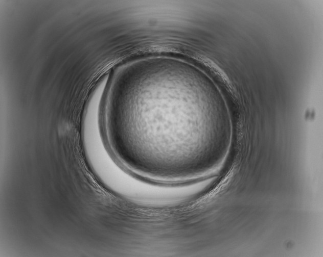 X0000100350785200806130951