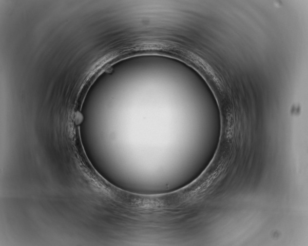 X0000100350786200806130951