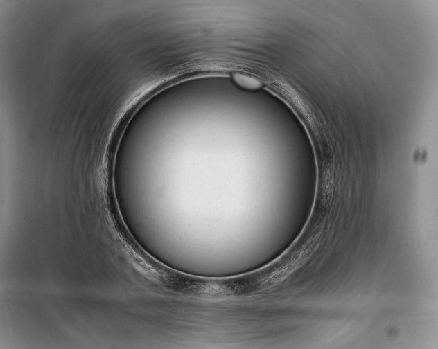X0000100350787200806130951