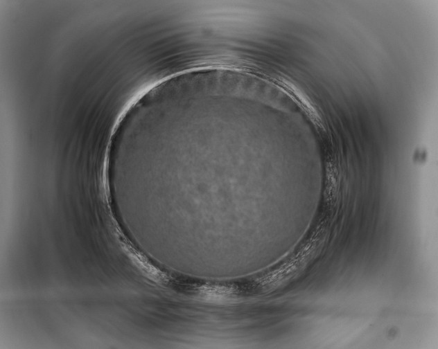 X0000100350788200806130951