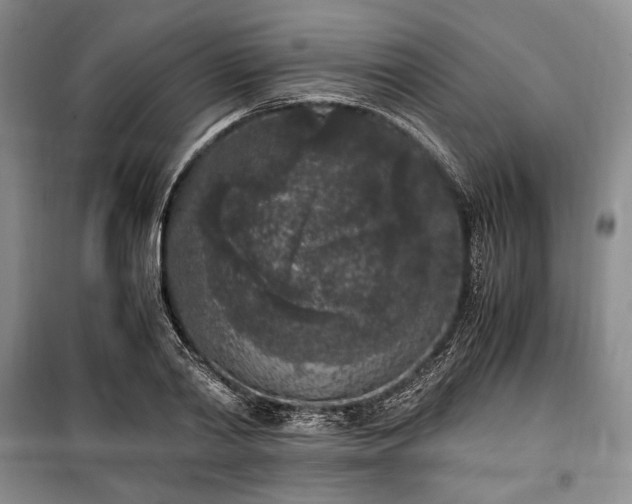 X0000100350790200806130951
