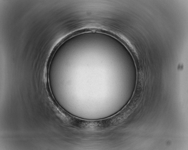 X0000100350791200806130951