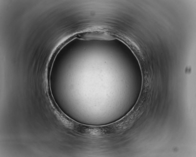 X0000100350792200806130951