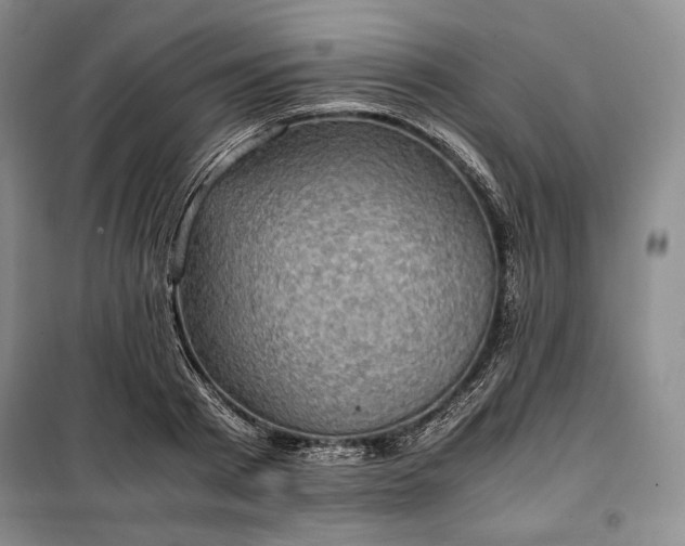 X0000100350793200806130951