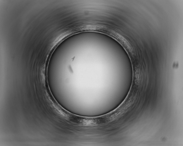 X0000100350794200806130951
