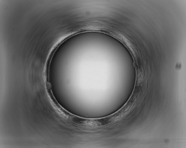 X0000100350795200806130951