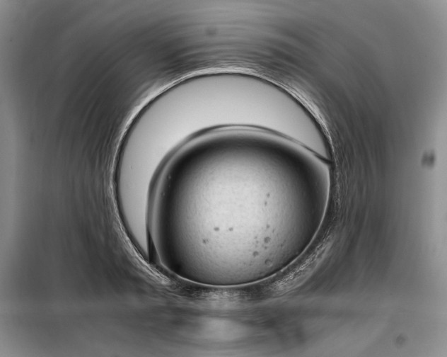 X0000100350797200806130951