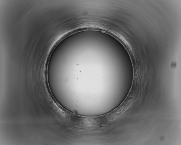 X0000100350799200806130951