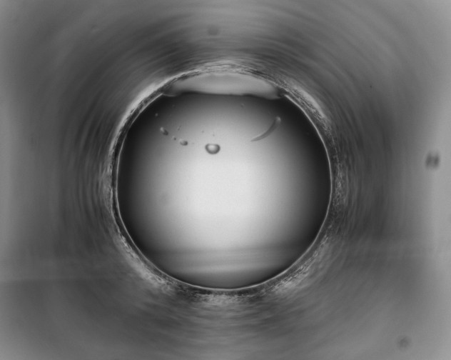 X0000100350800200806130951