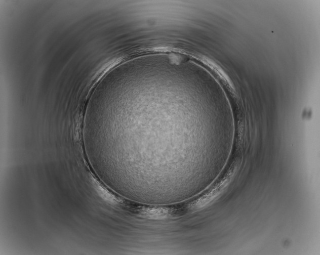X0000100350801200806130951
