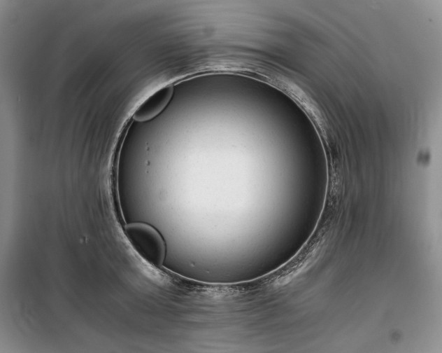 X0000100350803200806130951