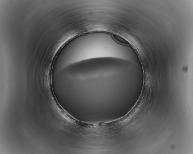 X0000100350806200806130951