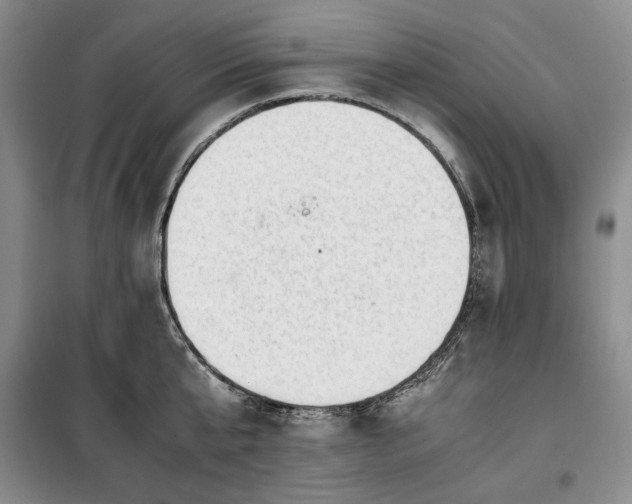 X0000100350807200806130951