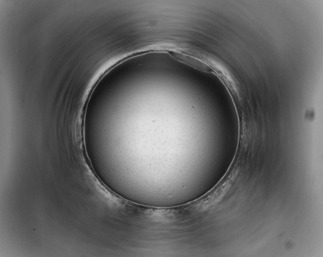 X0000100350808200806130951