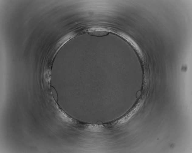 X0000100350809200806130951