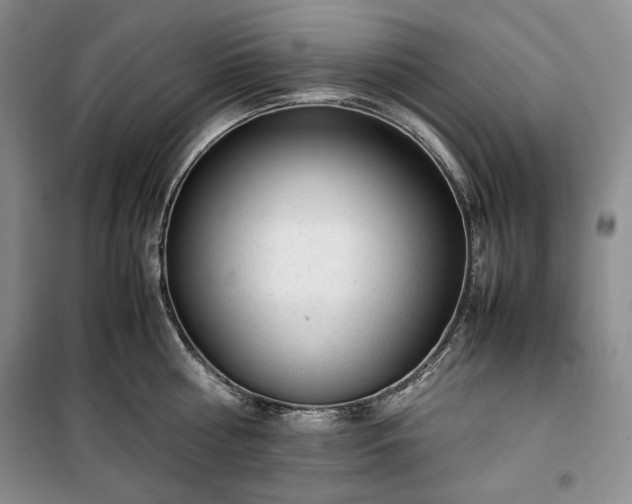 X0000100350810200806130951