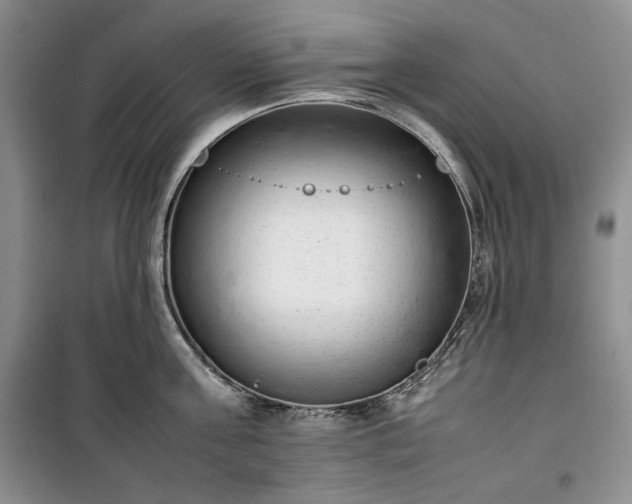 X0000100350811200806130951