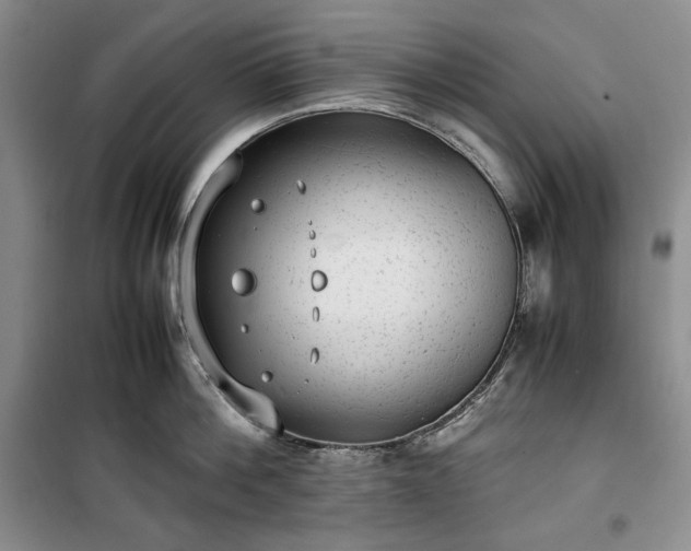 X0000100350812200806130951