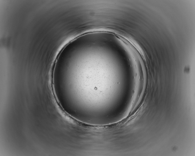 X0000100350813200806130951