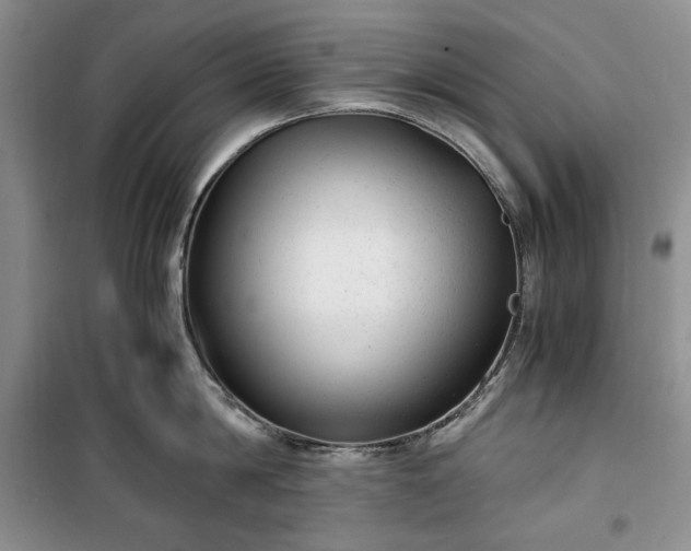 X0000100350814200806130951