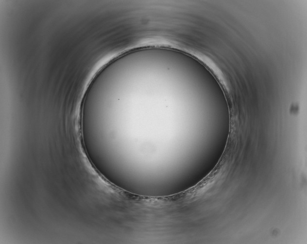X0000100350815200806130951