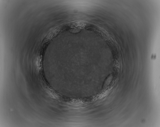 X0000100350818200806130950