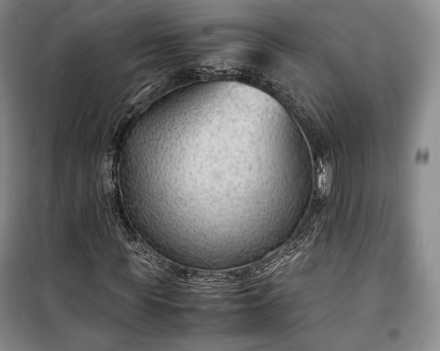 X0000100350819200806130950