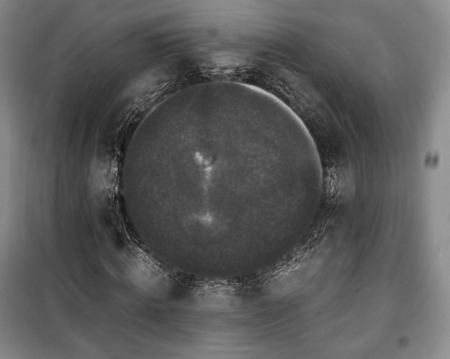 X0000100350820200806130950
