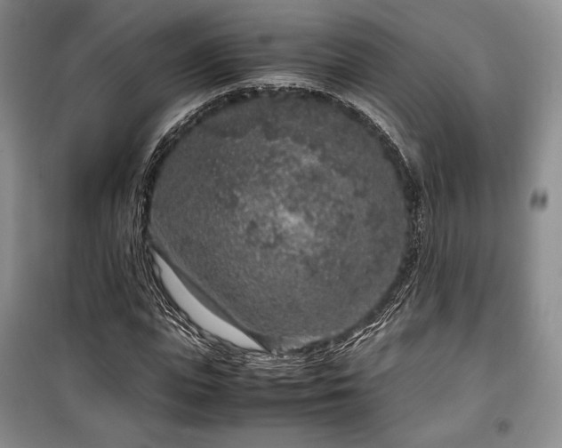 X0000100350823200806130950