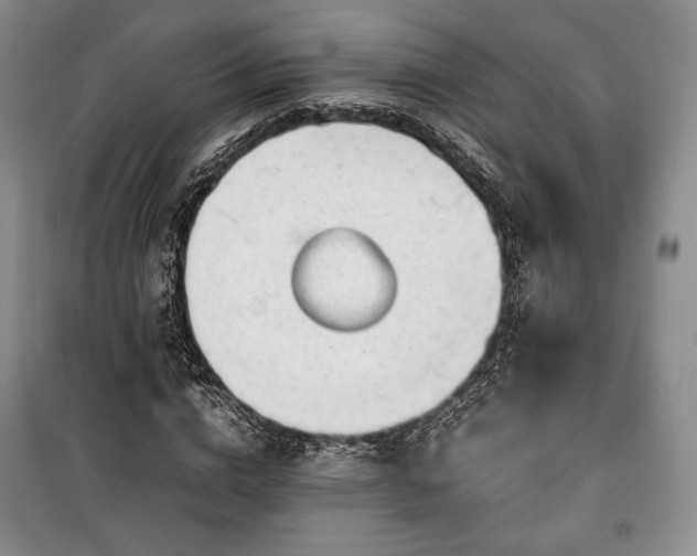 X0000100350824200806130950