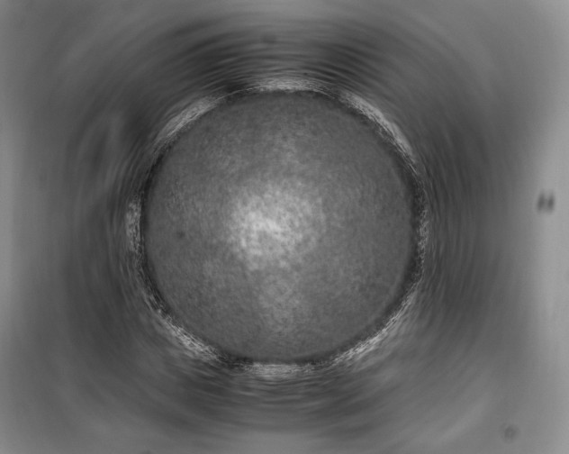 X0000100350825200806130950