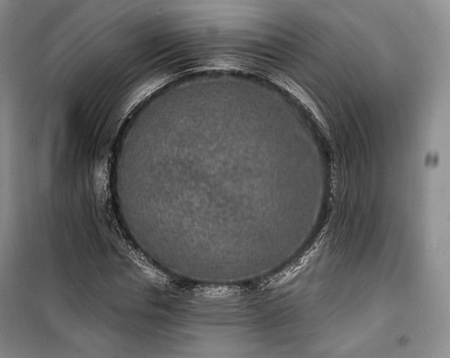 X0000100350826200806130950