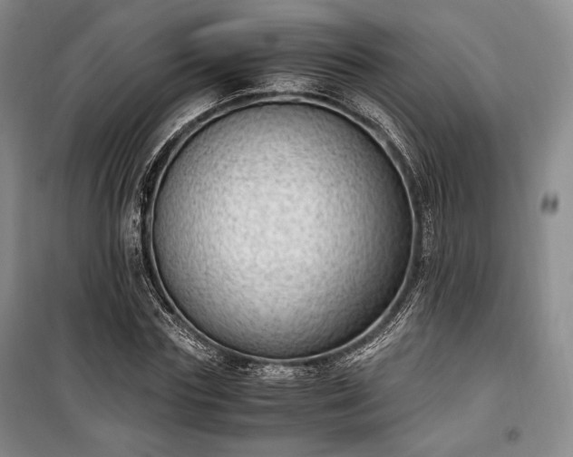 X0000100350827200806130950