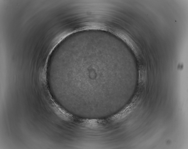 X0000100350828200806130950