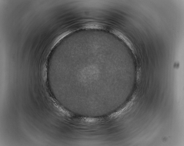 X0000100350829200806130950