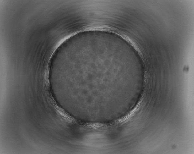 X0000100350830200806130950