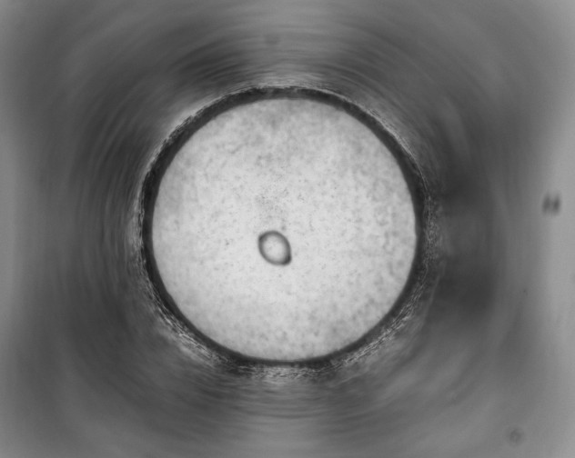 X0000100350832200806130950