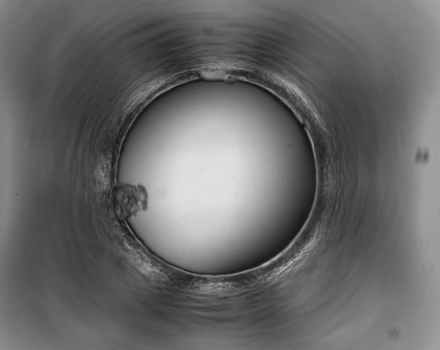 X0000100350833200806130950