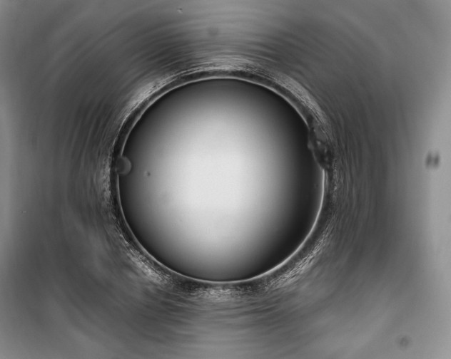 X0000100350834200806130950