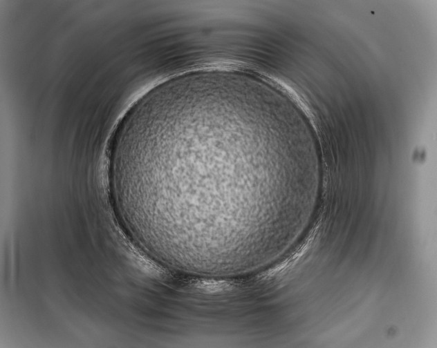 X0000100350835200806130950