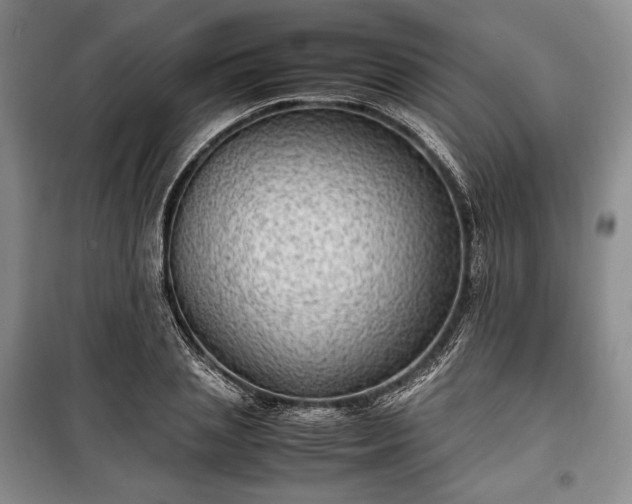X0000100350837200806130950