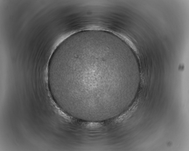 X0000100350839200806130950